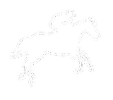 Horse Riding